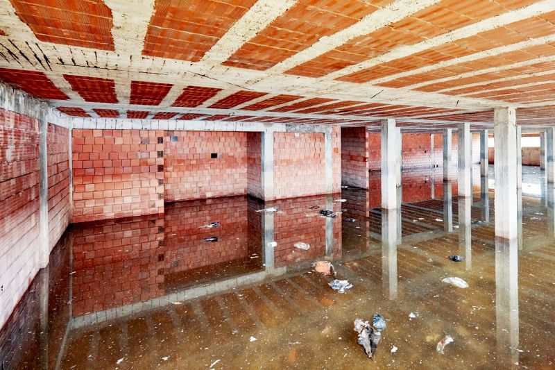 Basement Water Cleanup in Chandler, AZ